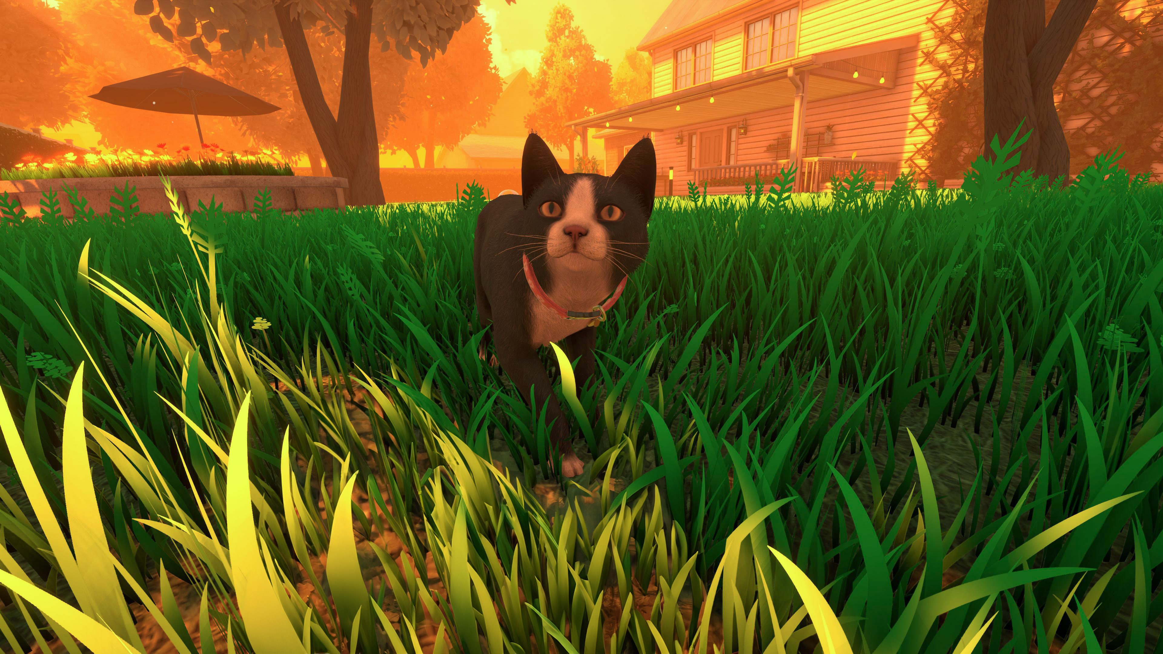 #9. Copycat (PlayStation) 来自: Spoonful of Wonder Pty Ltd