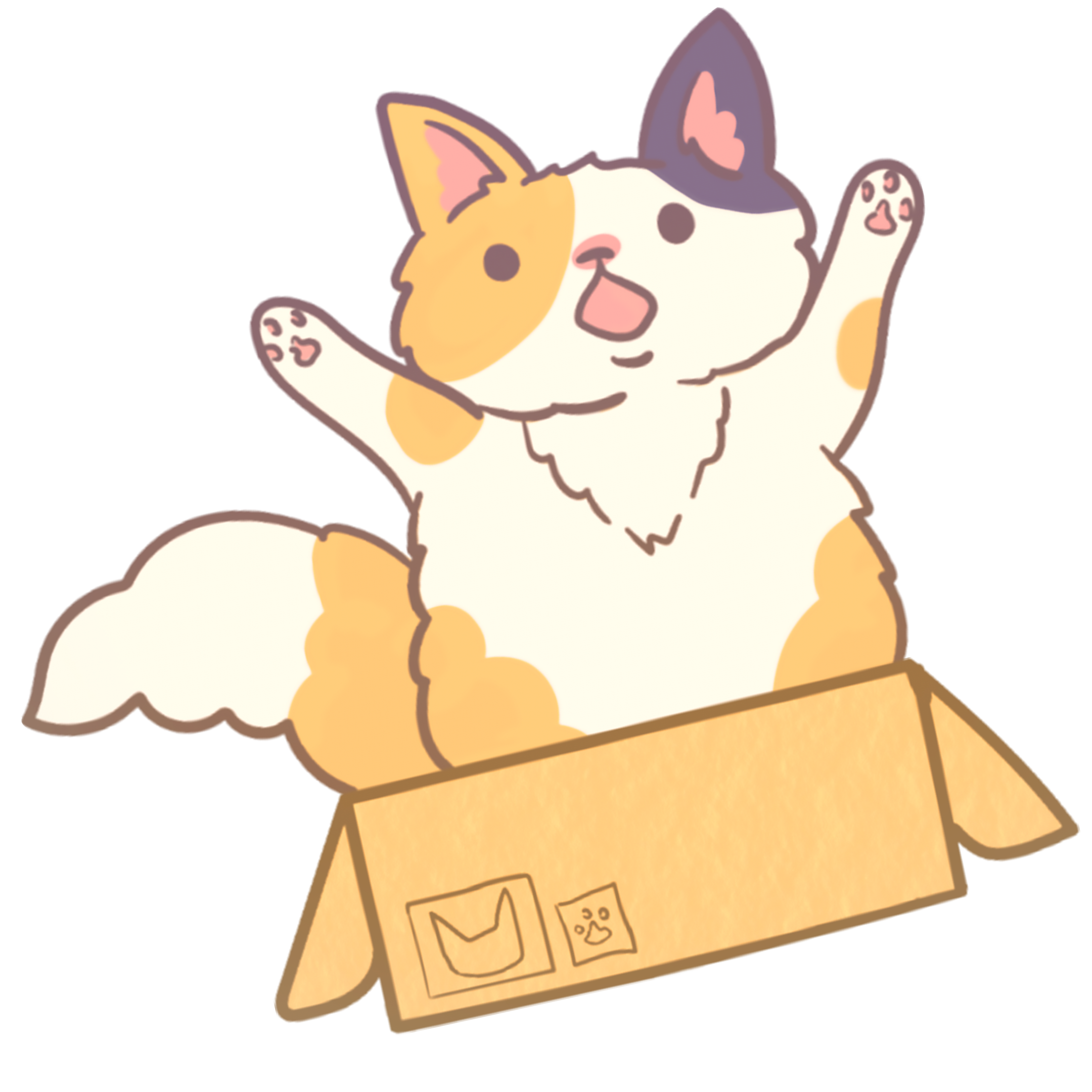 PlayStation4 - 猫箱 Finally, got my new 2025 14inch! : r/ZephyrusG14