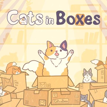 Cats in Boxes cover image