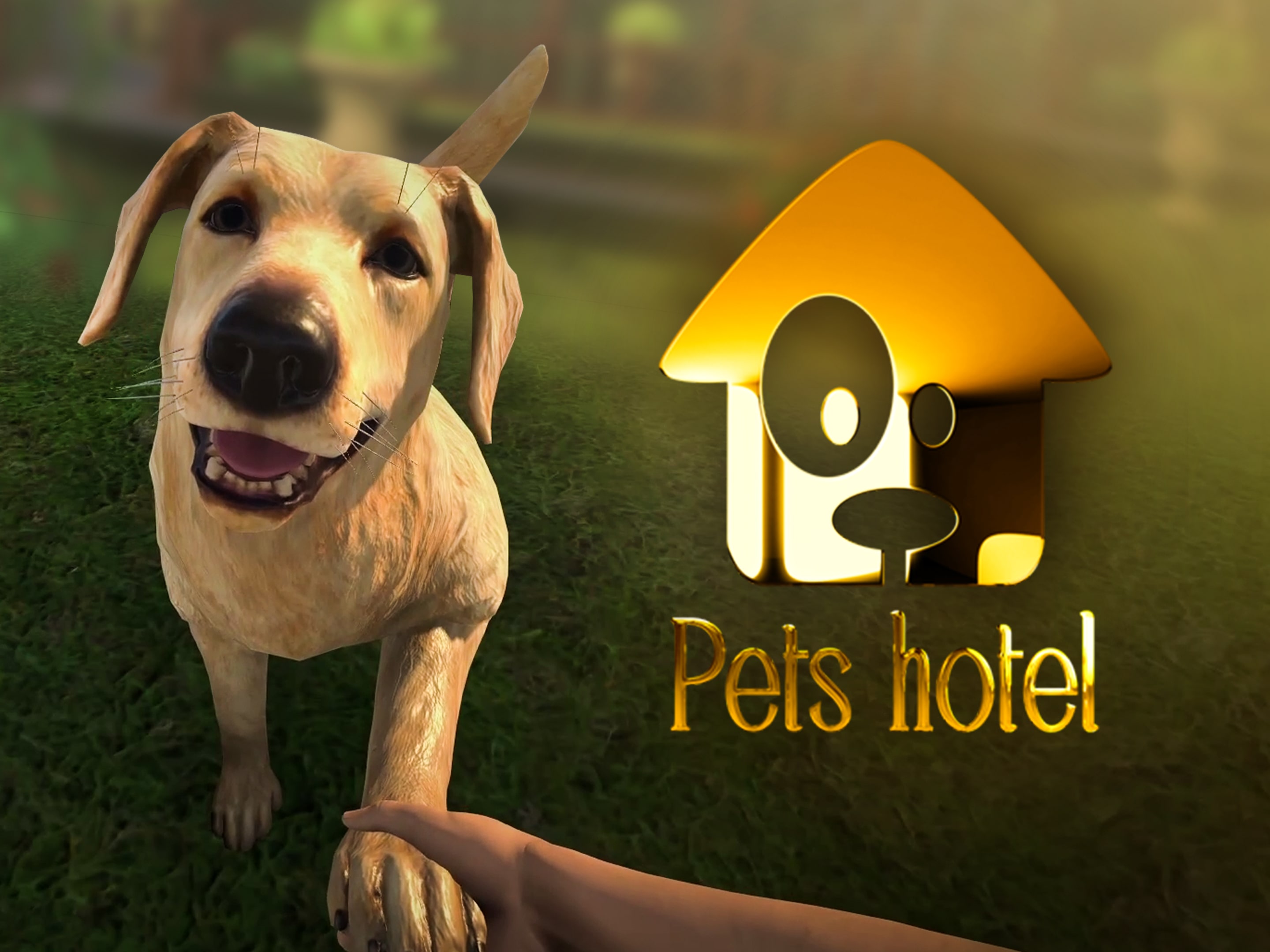 Pet Boarding Barkleys Doggie Day Care Barkley Dog Daycare