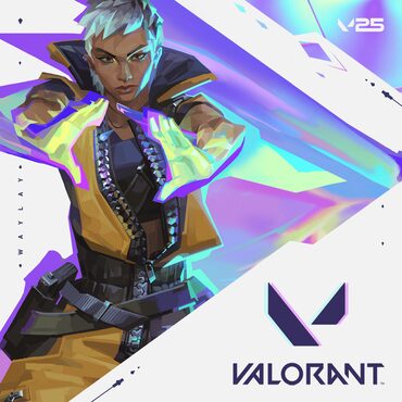 VALORANT cover image