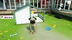 screenshot2