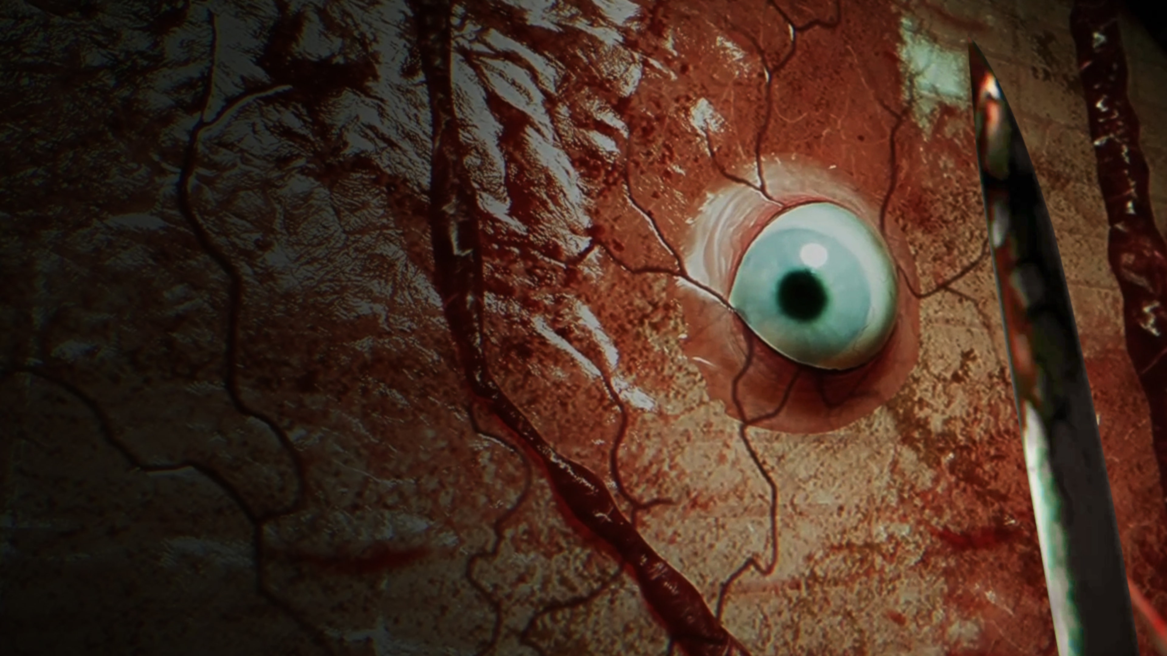 #9. BrokenLore: DON'T WATCH (PlayStation) By: Serafini Productions GK