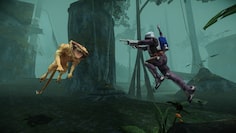 screenshot1