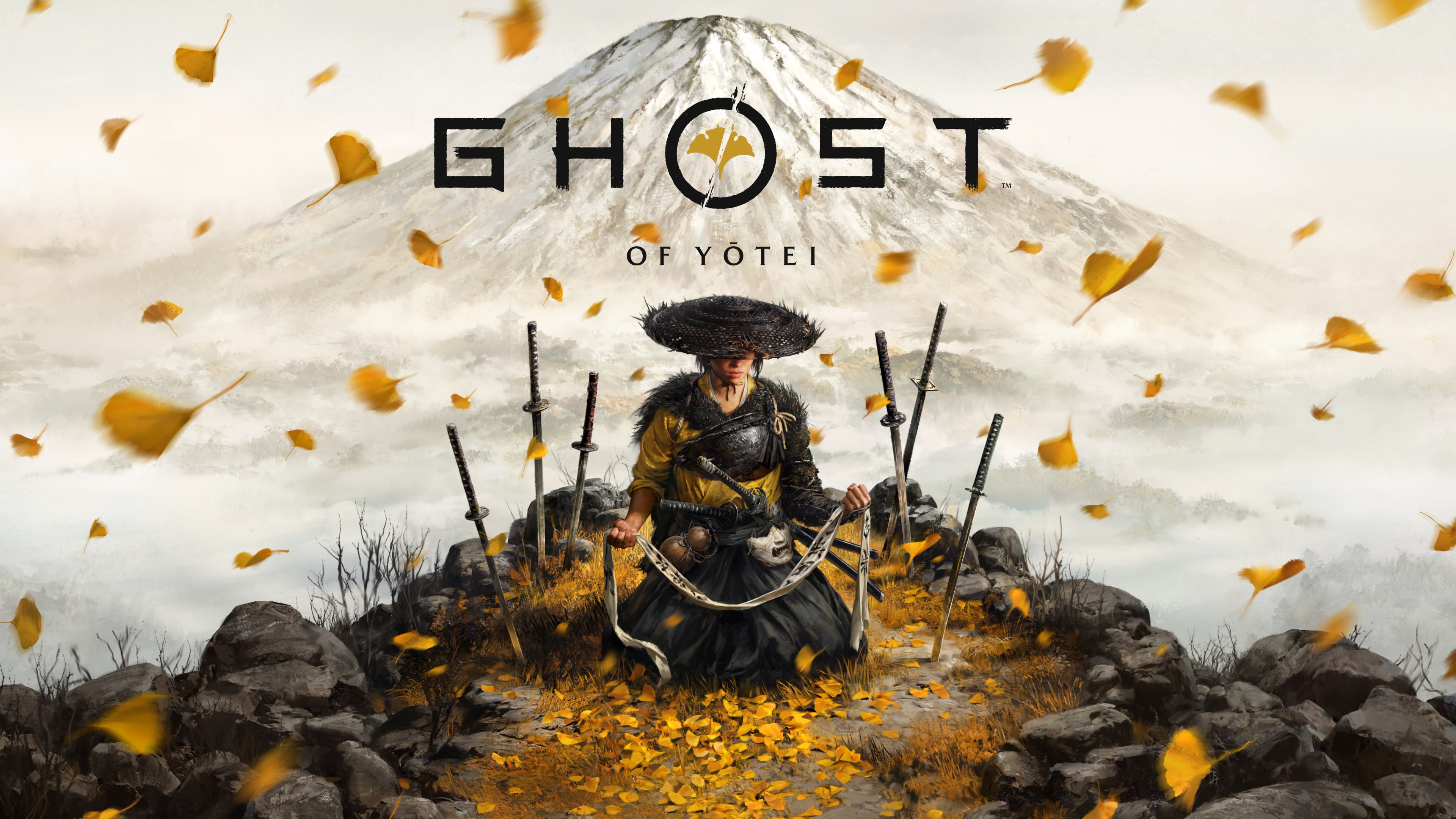 Standard Edition