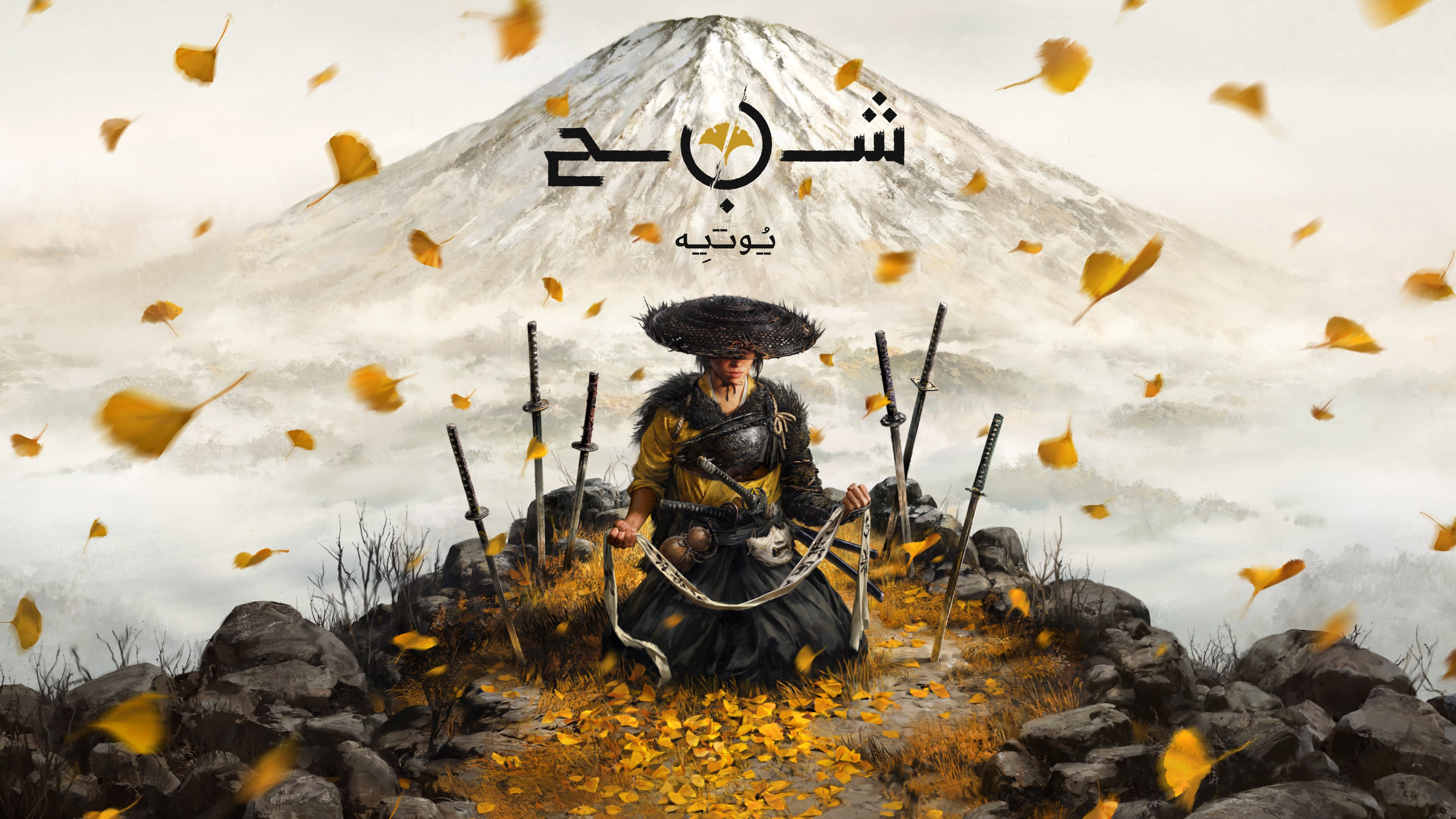 الإصدار القياسي