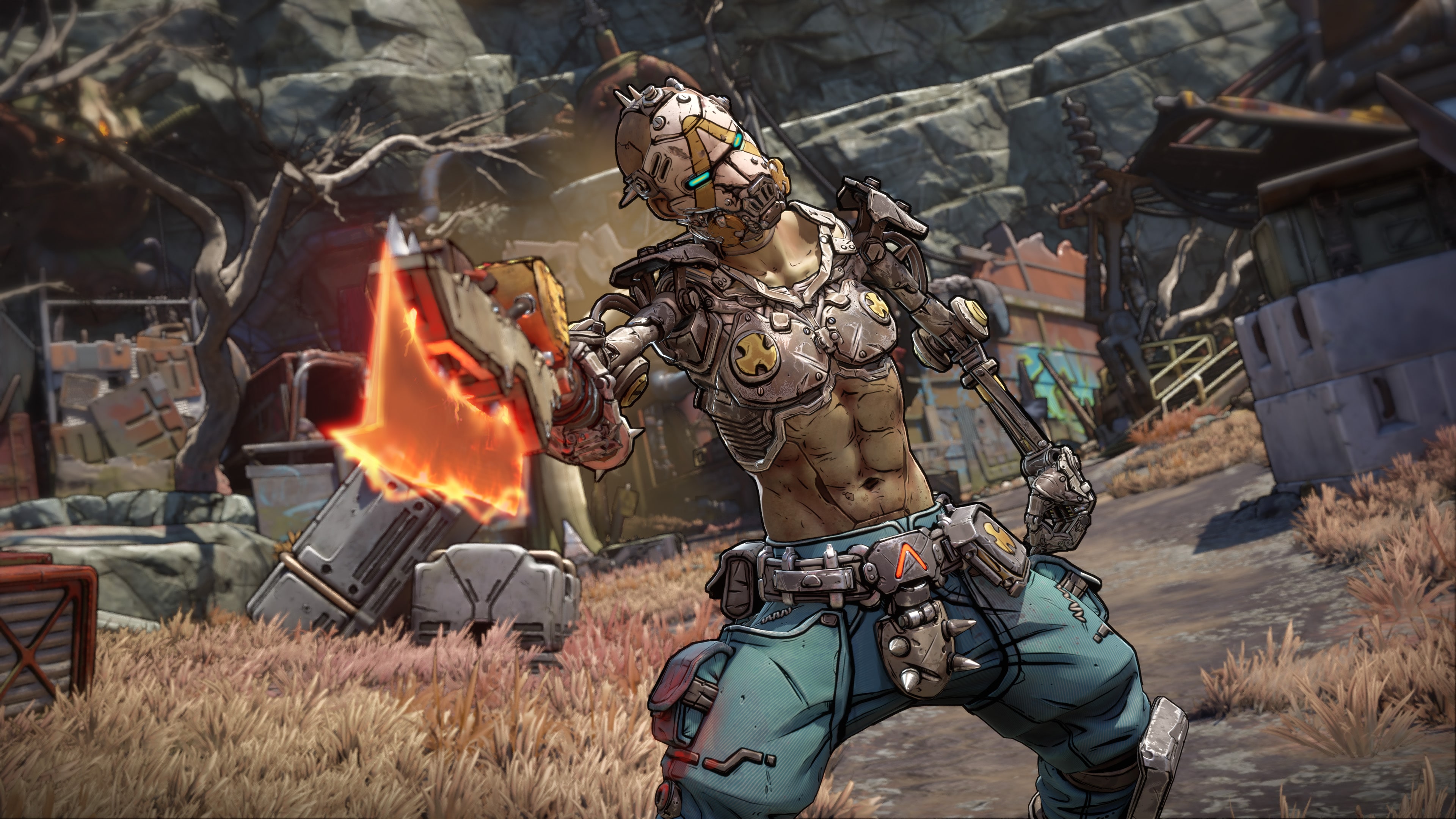 バッドランズ　4本 Borderlands 4 Super Deluxe Edition