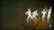 Monster Hunter Wilds - Gesture Set Vol. 5