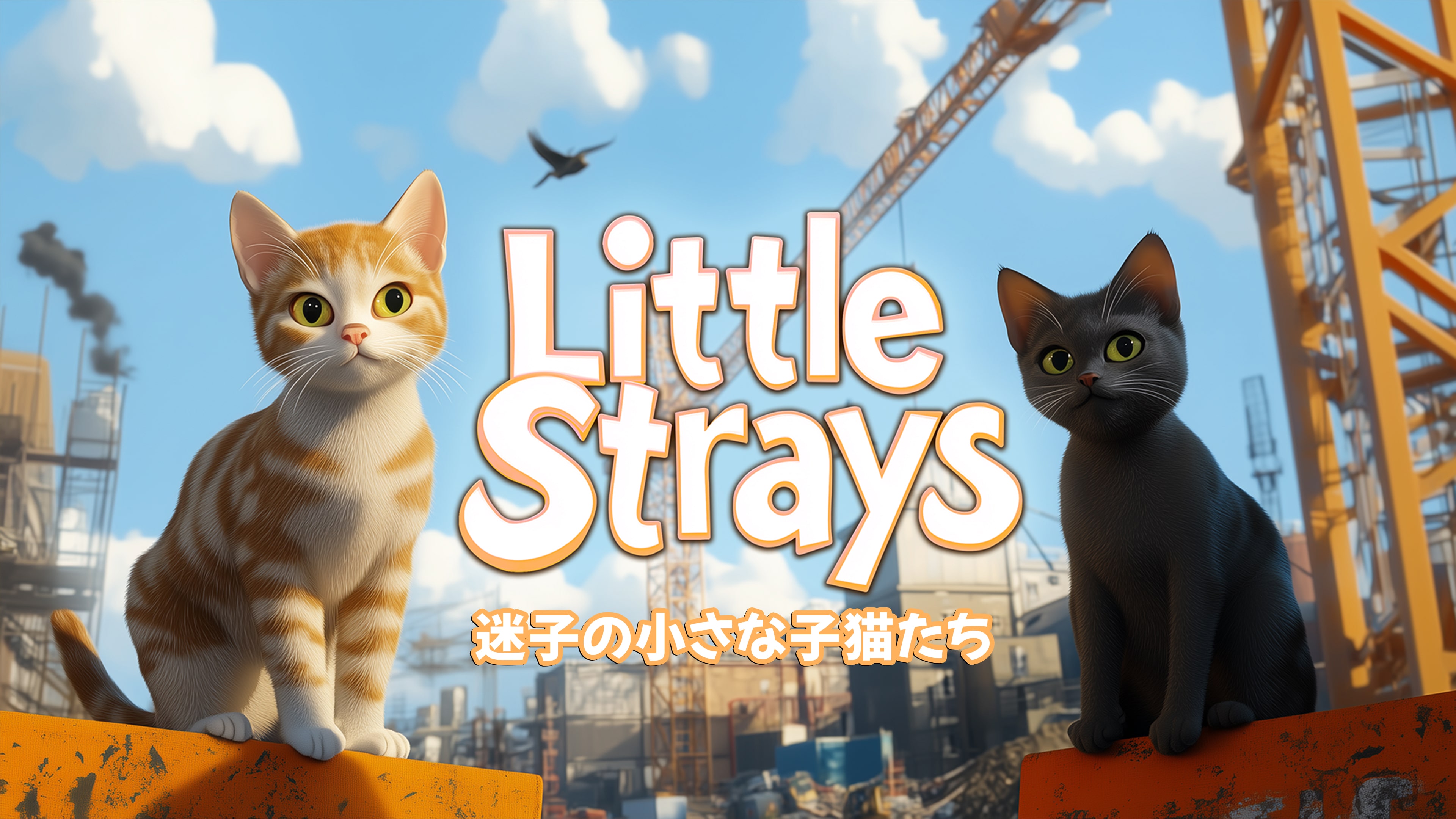 迷子の小さな子猫たち