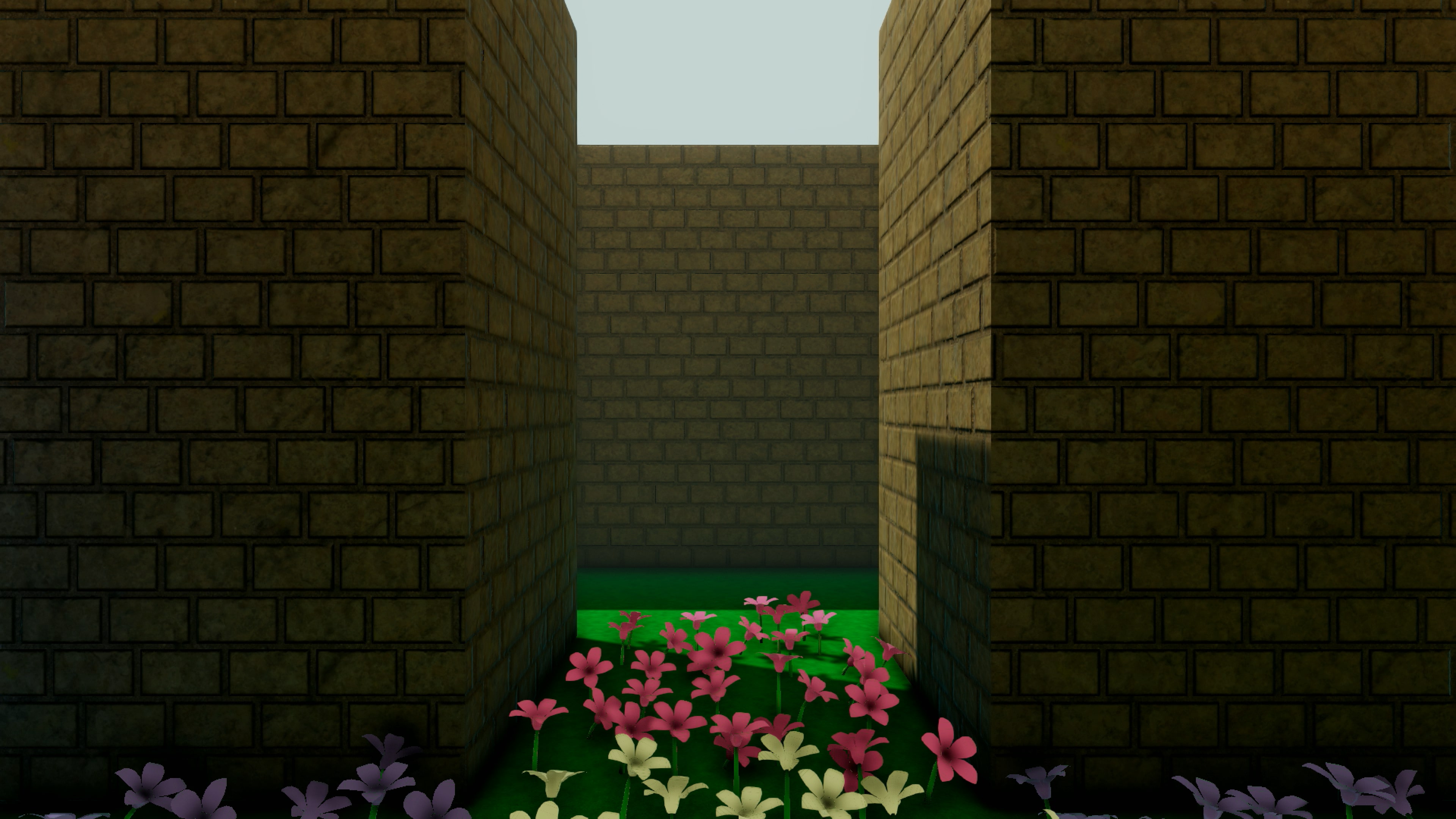 Maze: Interim Odyssey