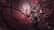 Warframe: Oraxia Bundle
