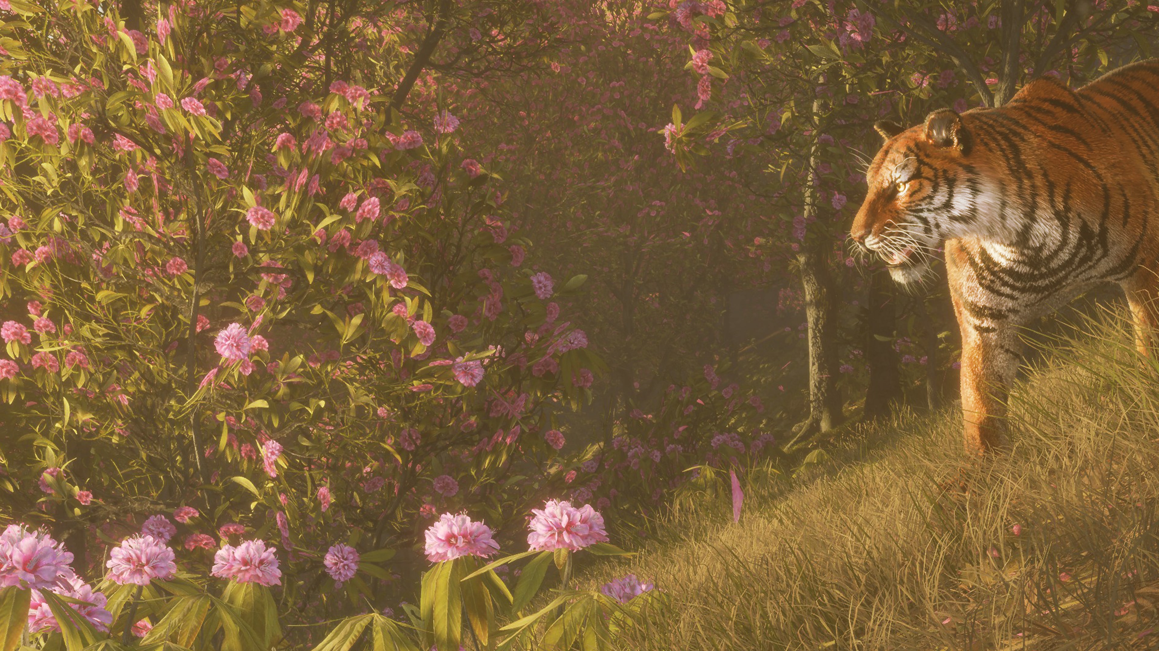 theHunter: Call of the Wild™ - Hunting Pro Pack
