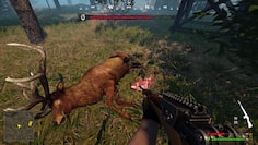 screenshot8