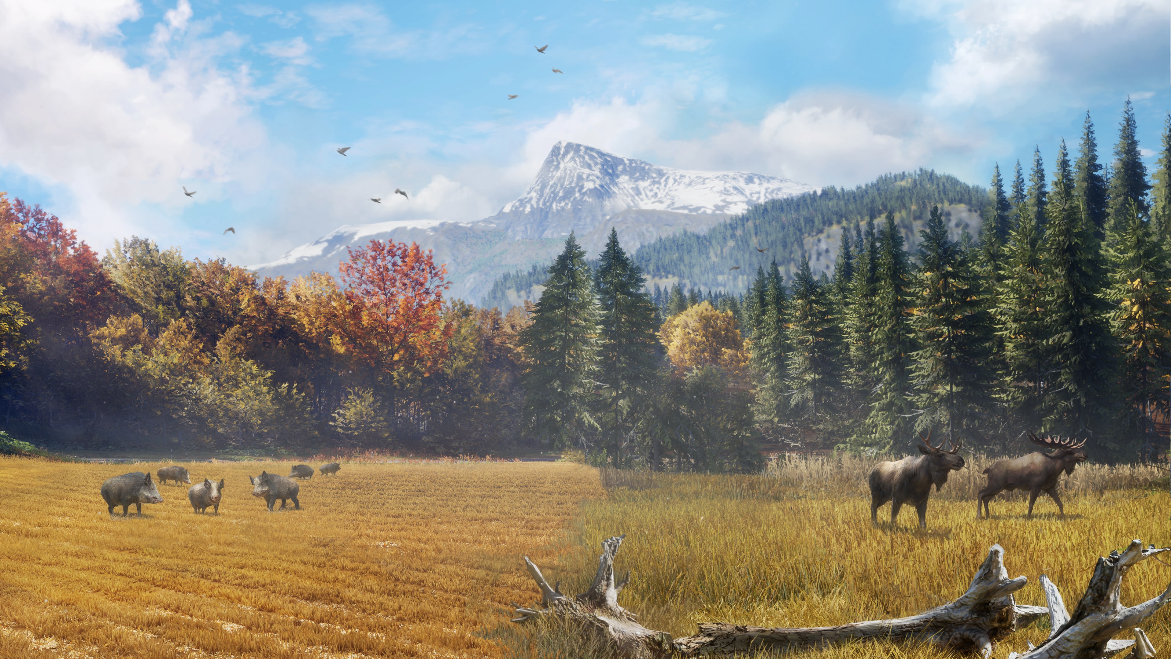 theHunter: Call of the Wild™