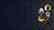 Piece Out Joker Bundle