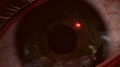 screenshot7