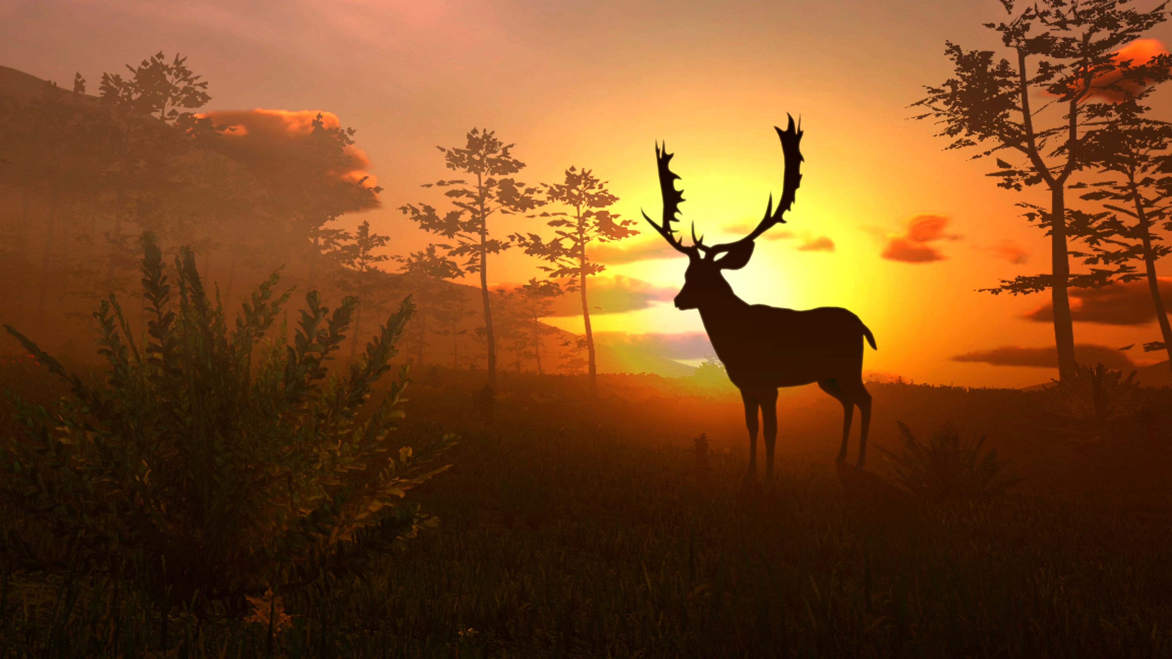 Virtual Hunter
