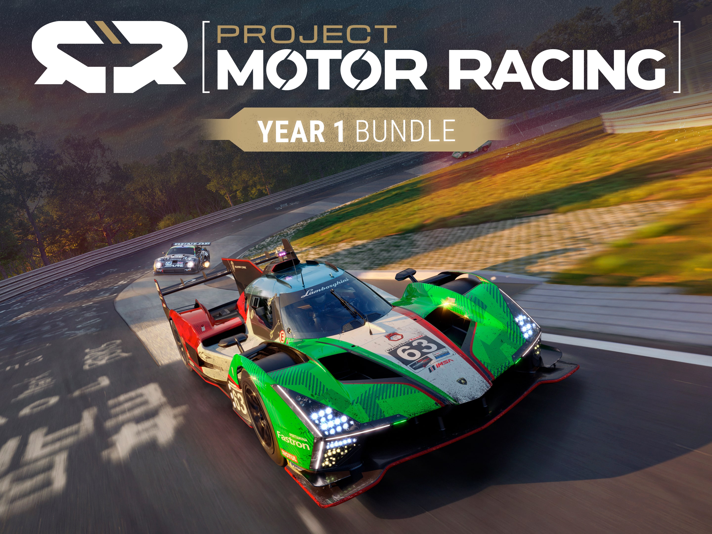 Project Motor Racing