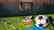 Farmer's Life & Arena Renovation Bundle