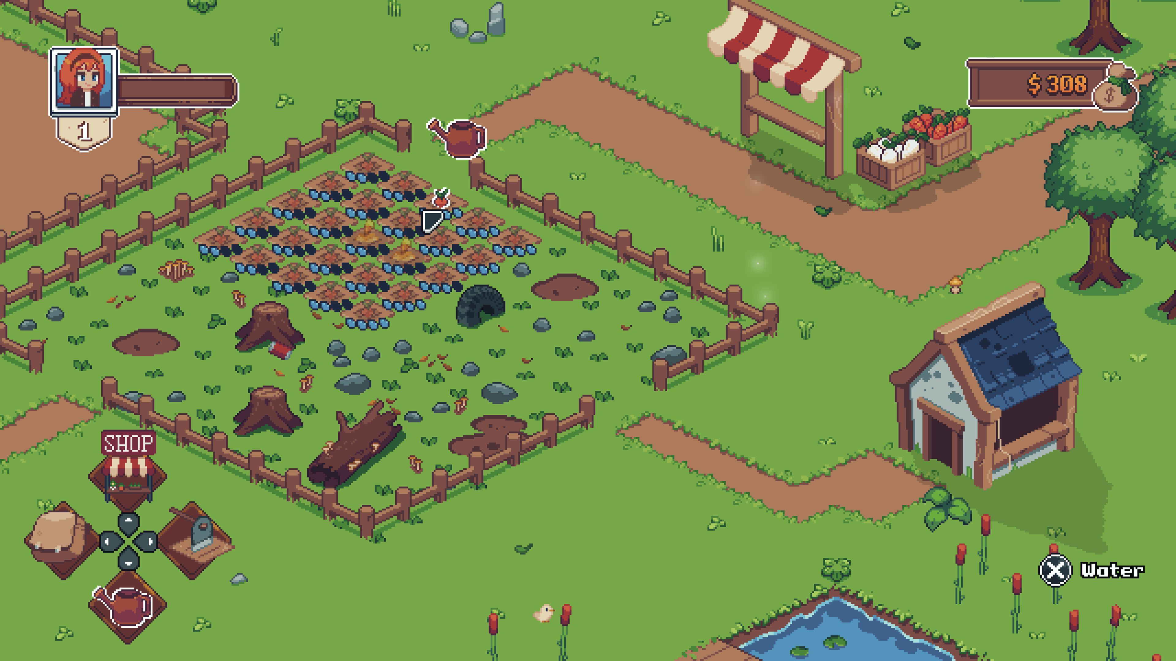 #2. Tiny Little Farm (PlayStation) 由: Phoenix Reborn Games