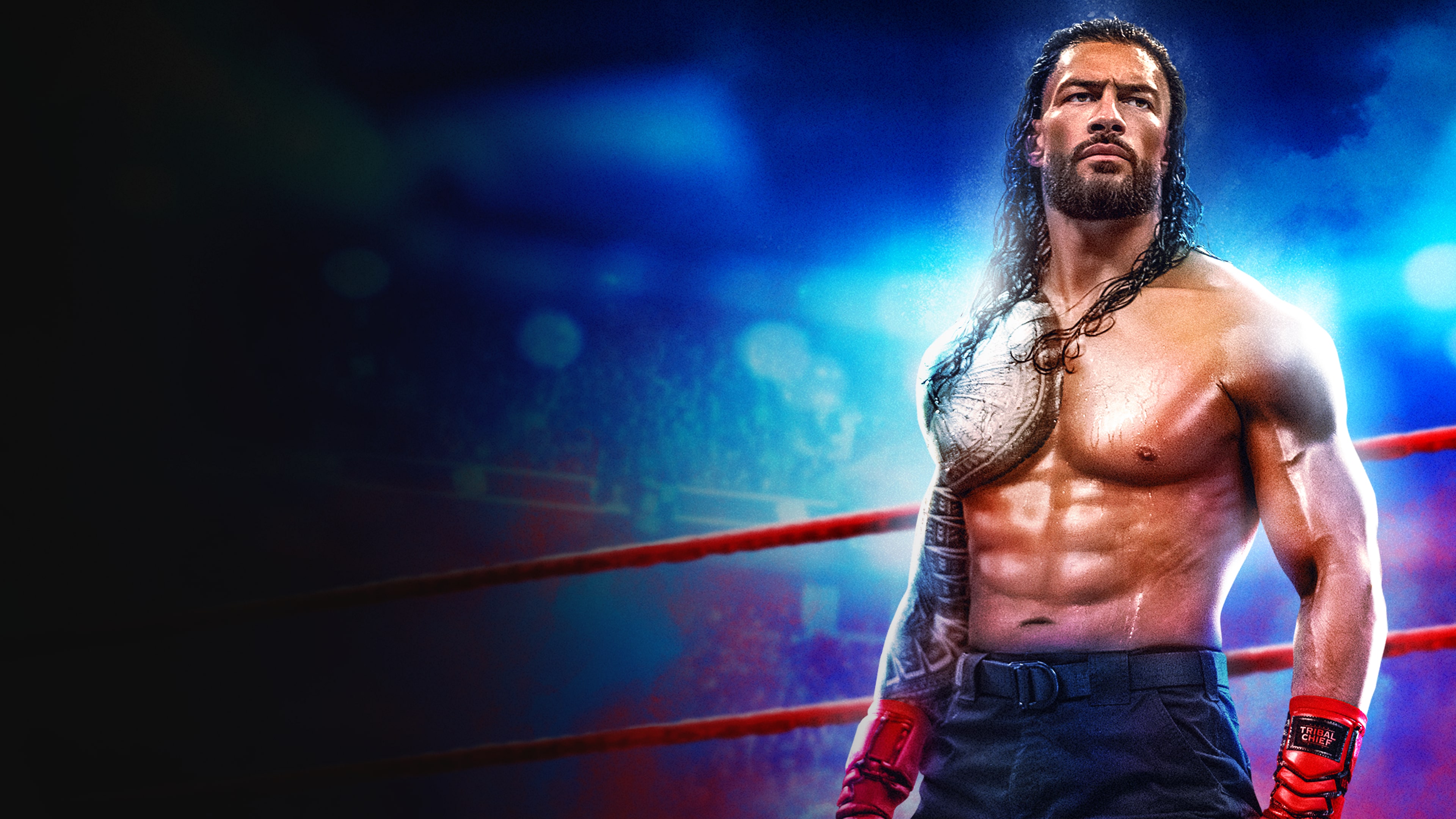WWE 2K25 Standard Edition