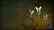 Monster Hunter Wilds - Pendant: Fluttering Myriads