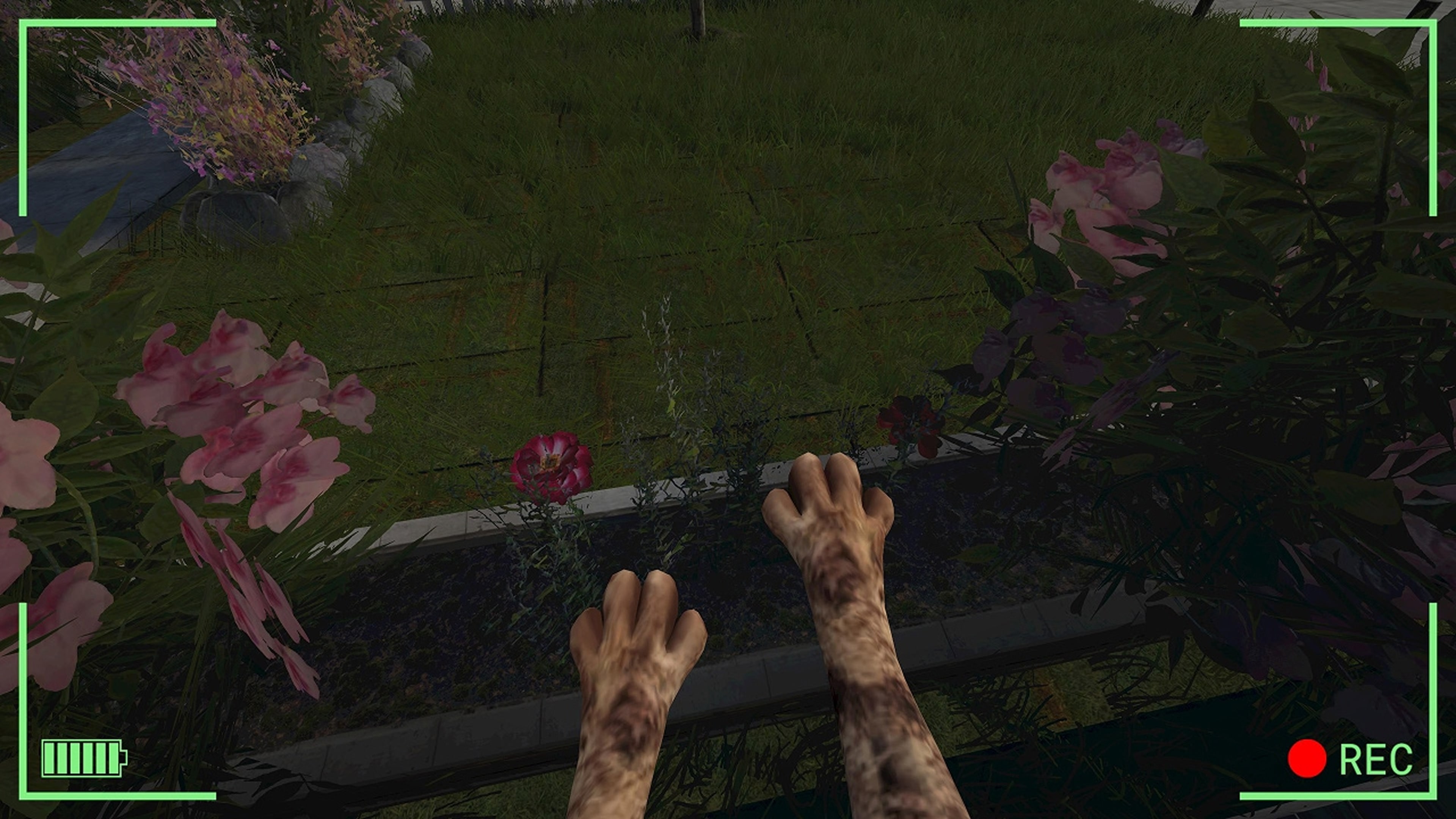 #2. Bodycam Stray Kitty (PlayStation) By: CGI LAB SRL