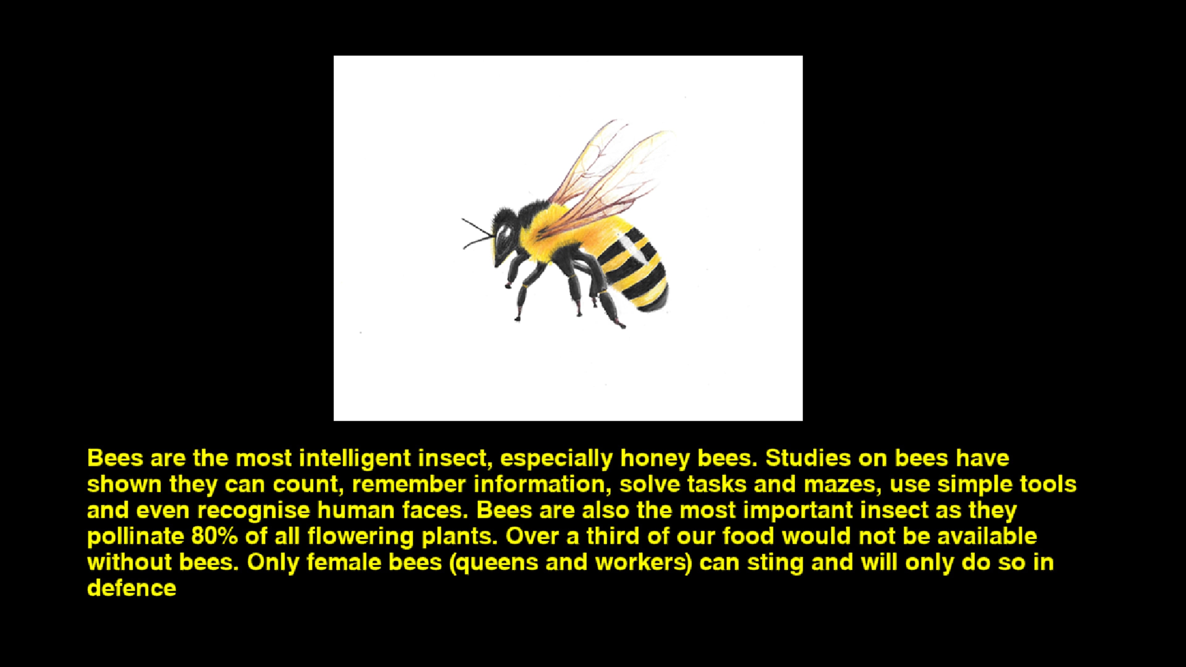 #1. Quiz & Learn: Animals (PlayStation) بواسطة: Kuims Games Ltd