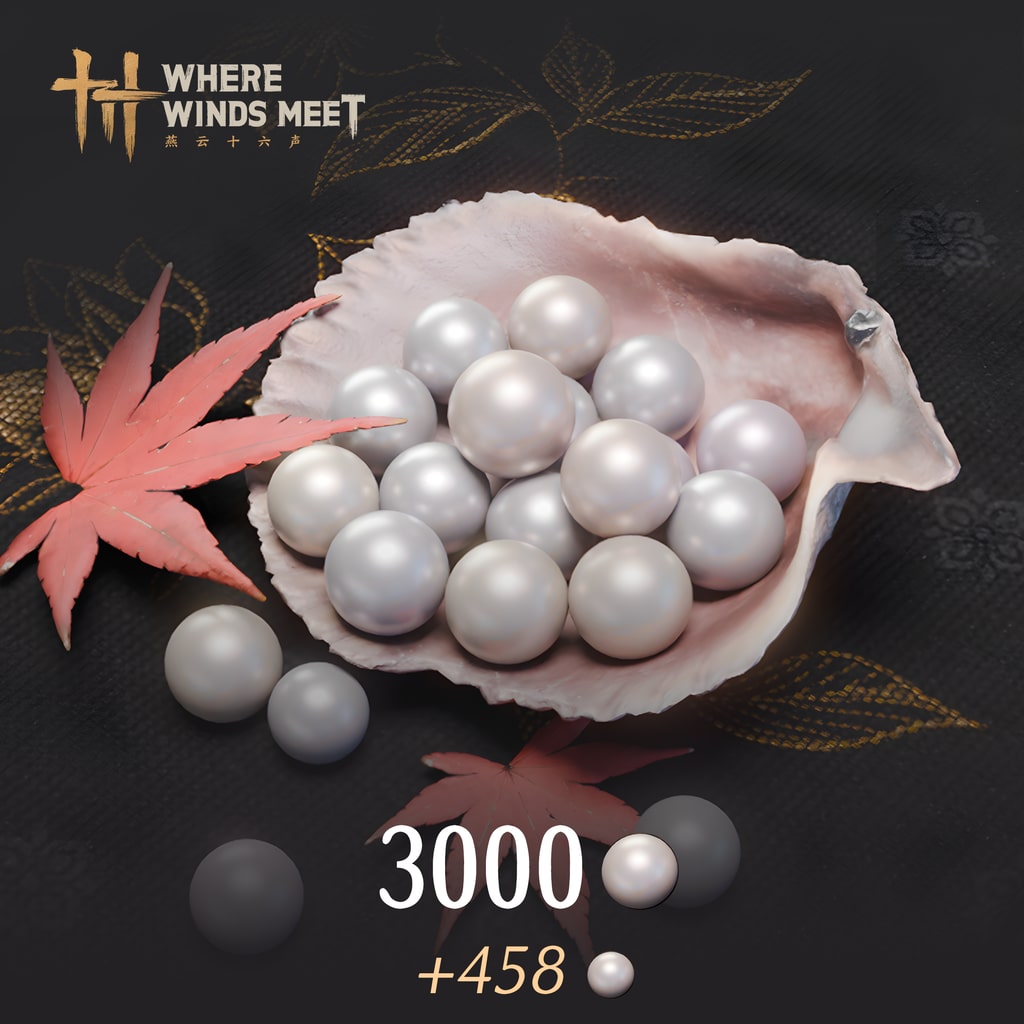 Where Winds Meet - 3000 Echo Beads