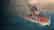 High Seas Sorceress — PS4® World of Warships: Legends