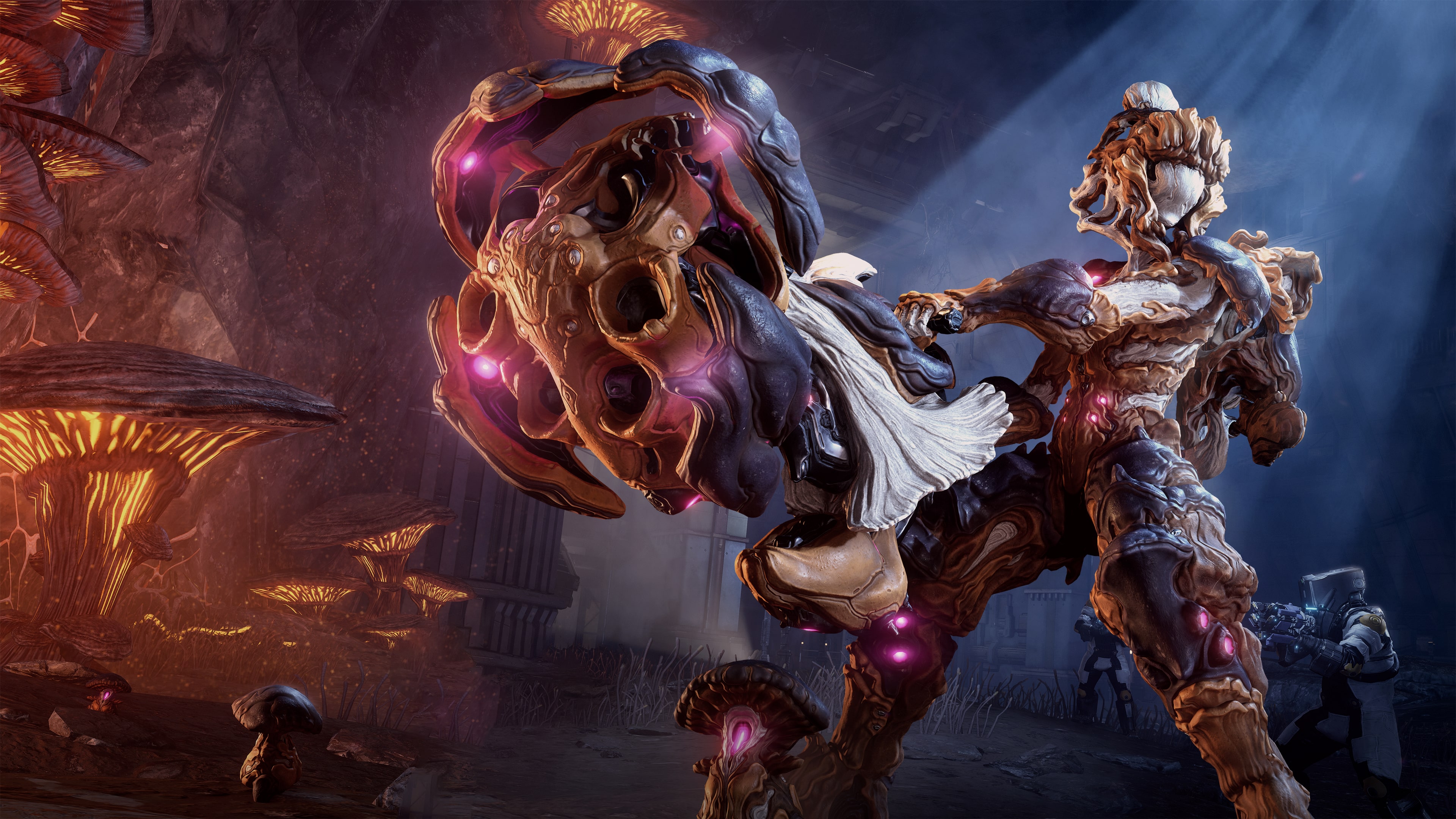 Warframe: Conjunto de Nokko