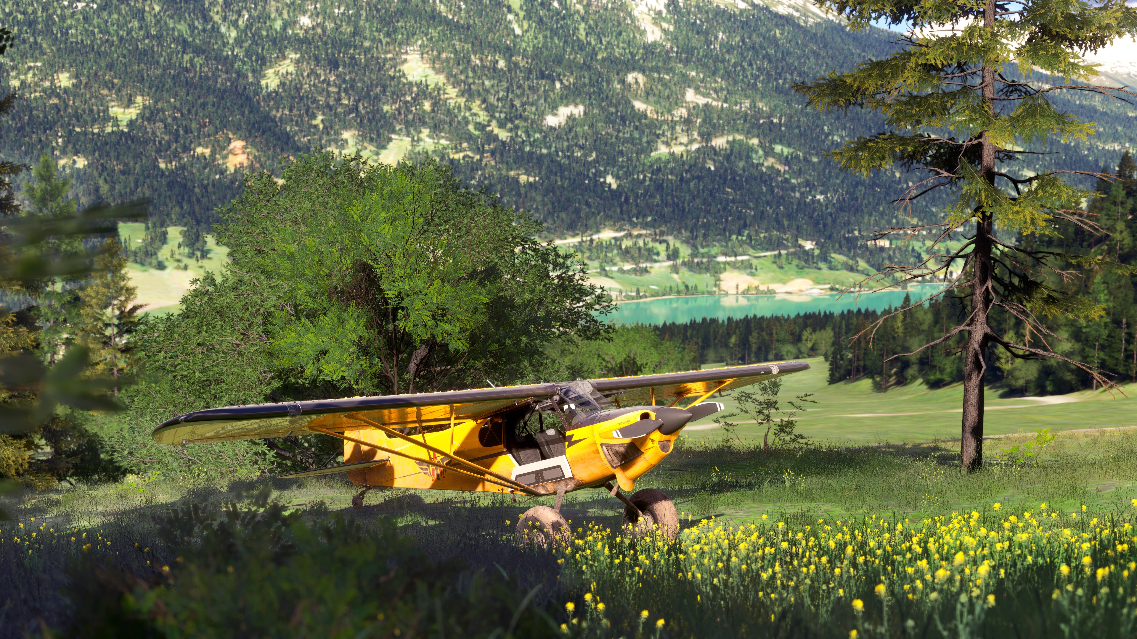 #4. Microsoft Flight Simulator 2024- Standard Edition (PlayStation) بواسطة: Microsoft Corporation