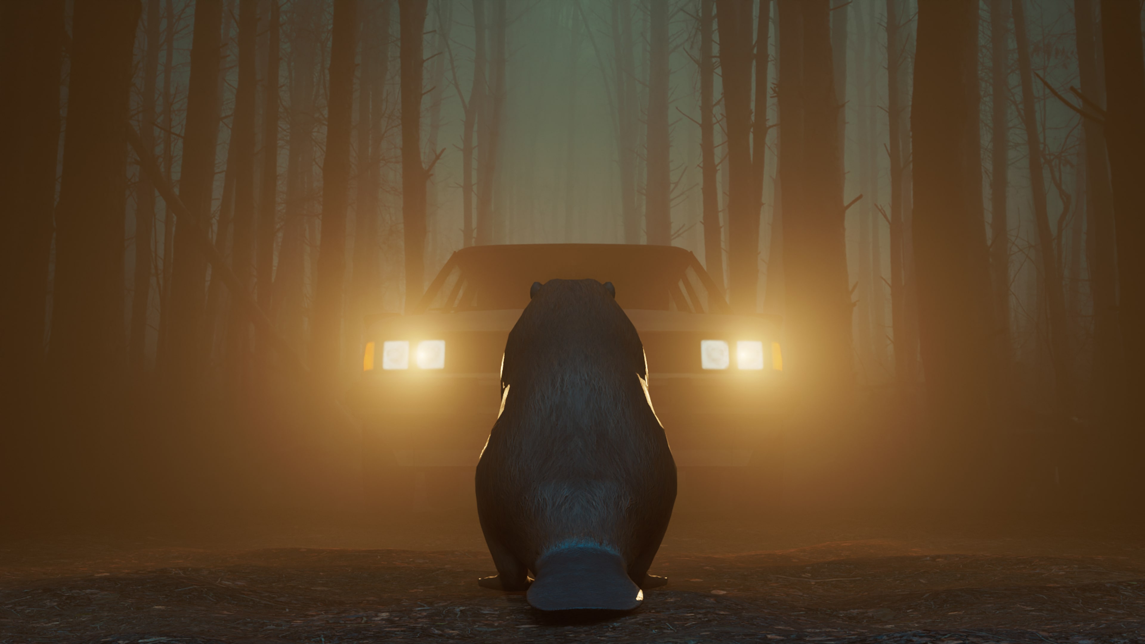 Don't Mess With Bober