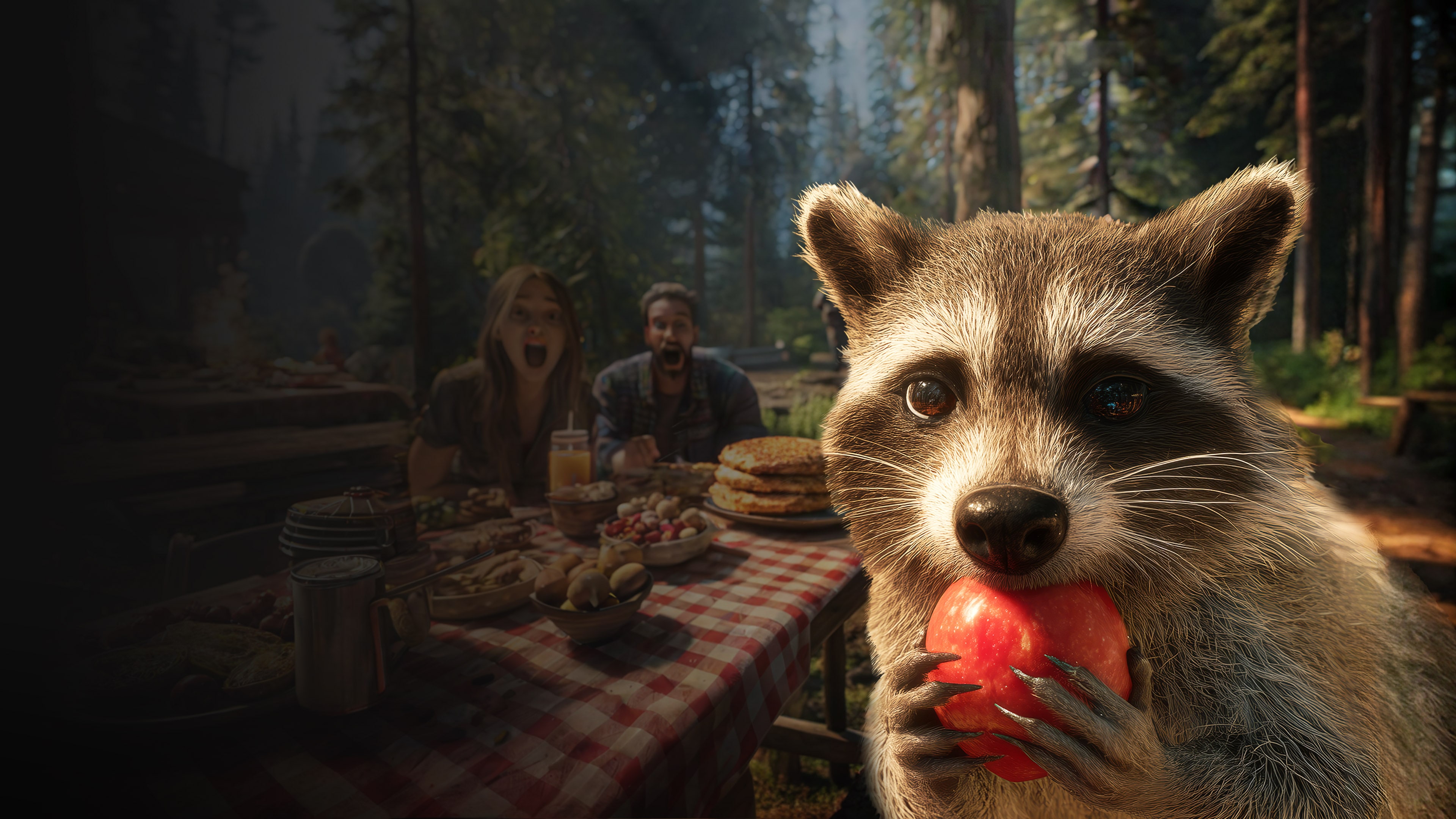 Raccoon Simulator