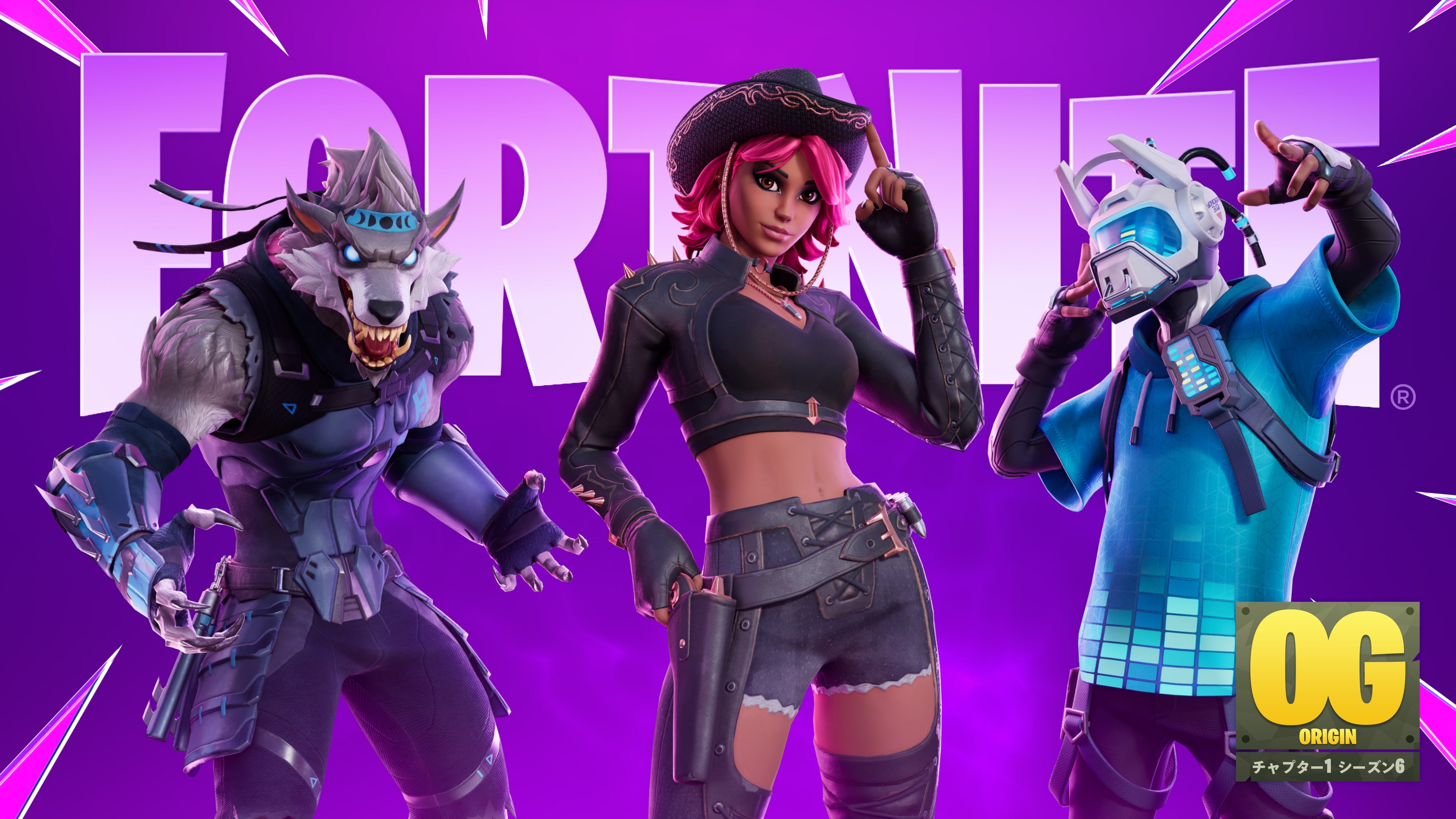 ps4 カセット付き フォートナイト Fortnite