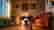 Dog Life Simulator