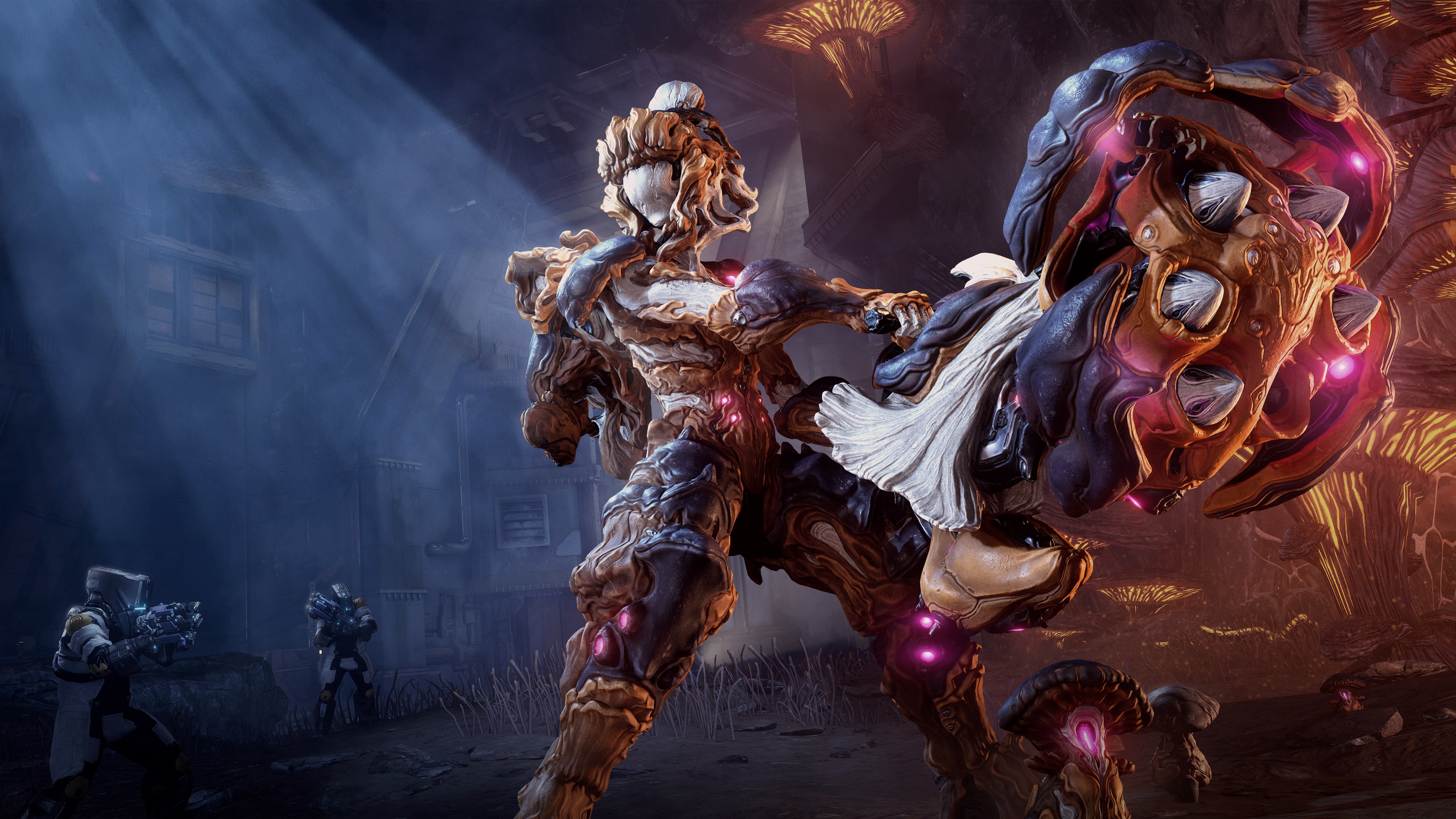 Warframe: Nokko Bundle