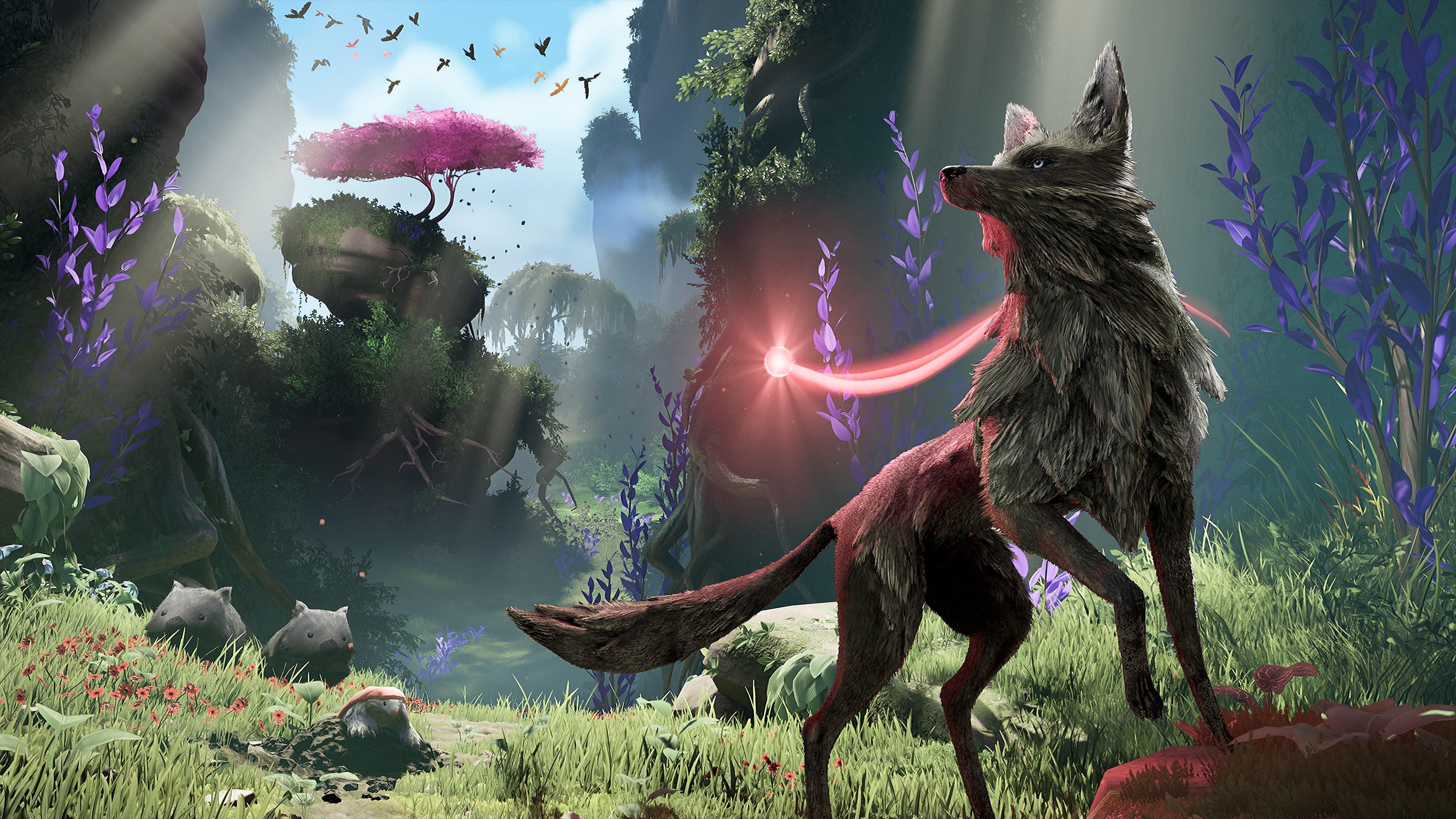 Lost Ember: Rekindled Edition (중국어(간체자), 한국어, 영어, 일본어, 중국어(번체자))