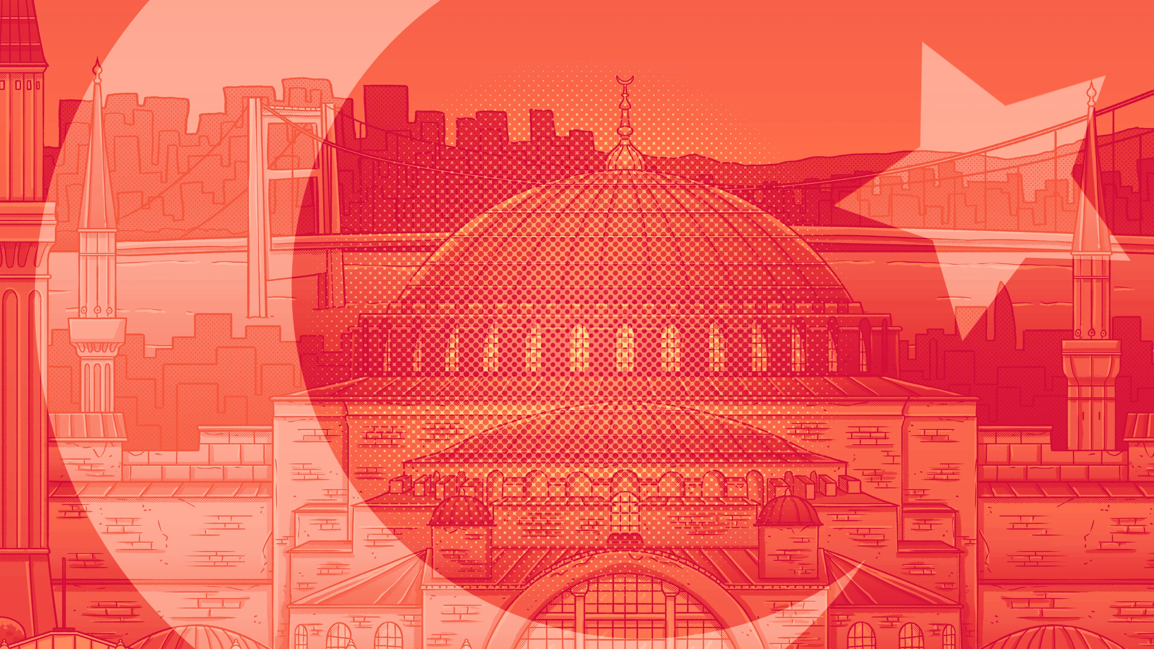 Hidden Cats in Istanbul