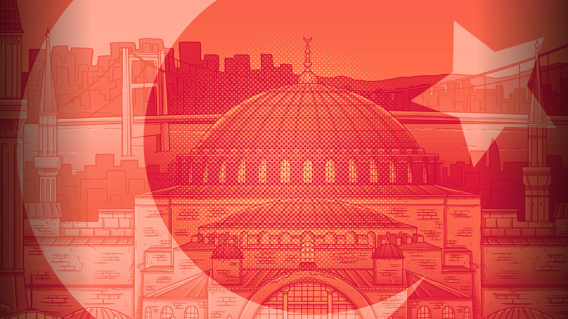 Hidden Cats in Istanbul