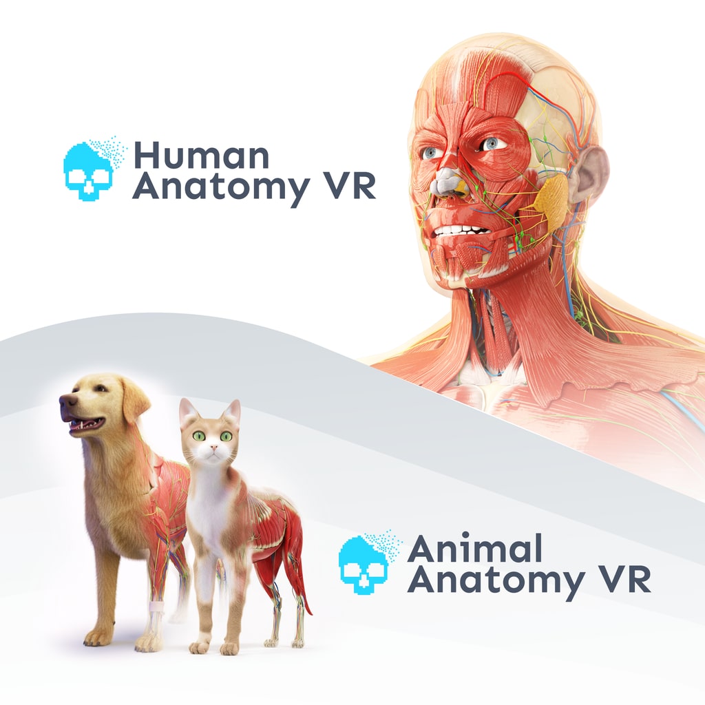 Anatomy VR Bundle