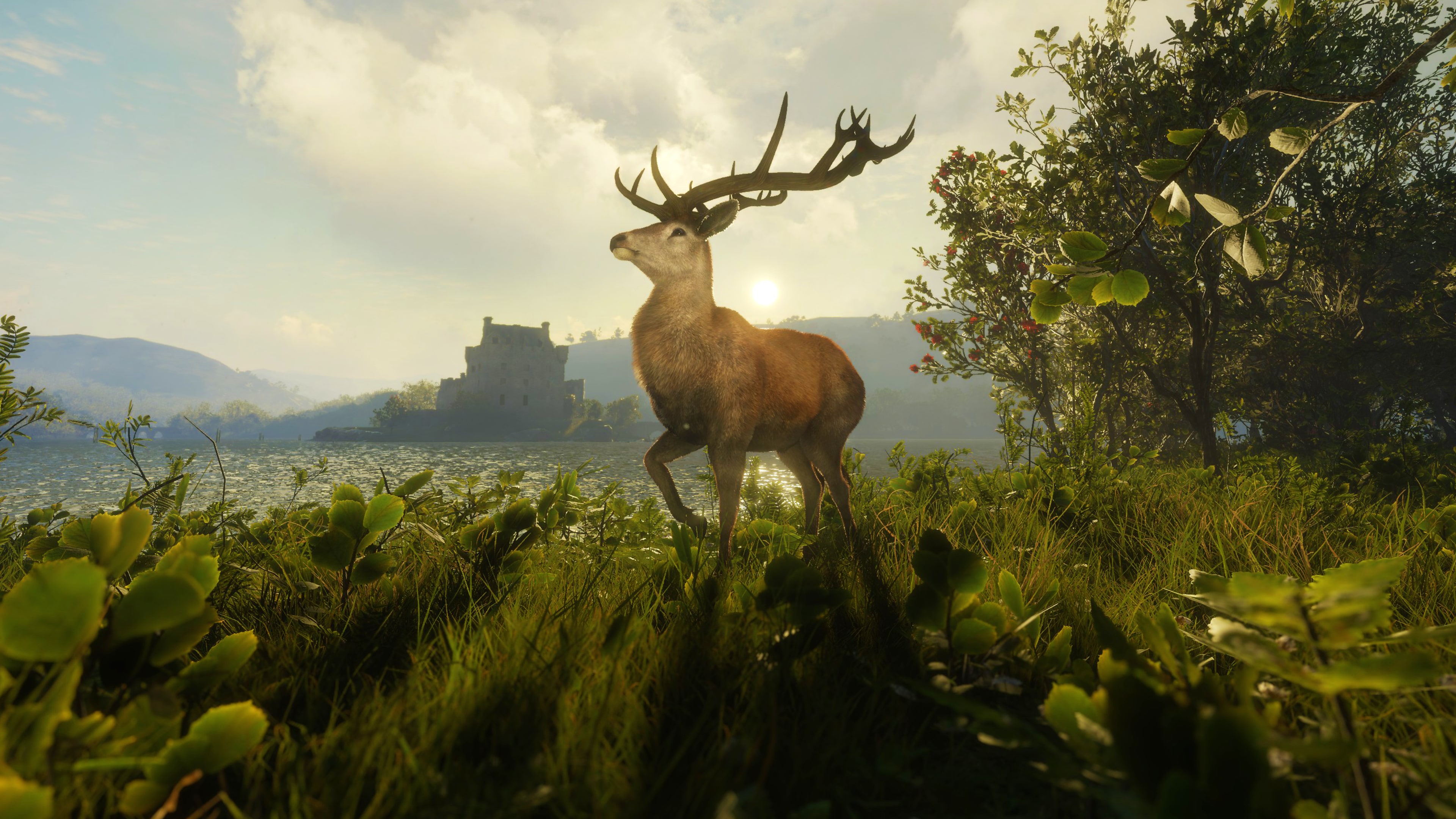 theHunter: Call of the Wild™ - Scotland Hunting Reserve