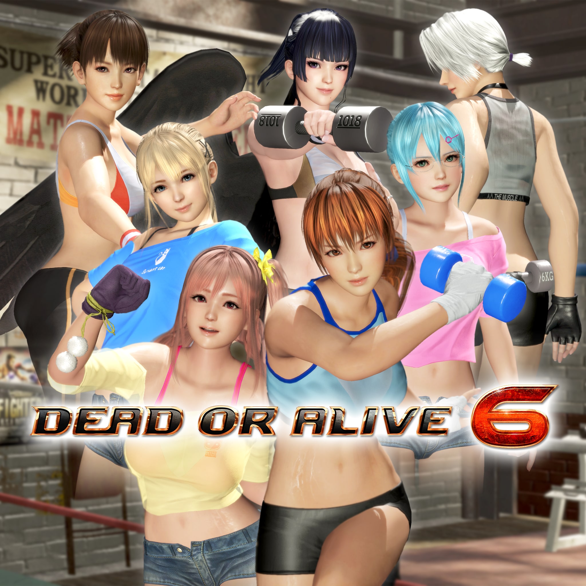 DOA6 Lote de equipo de entrenamiento '¡Más energía!'