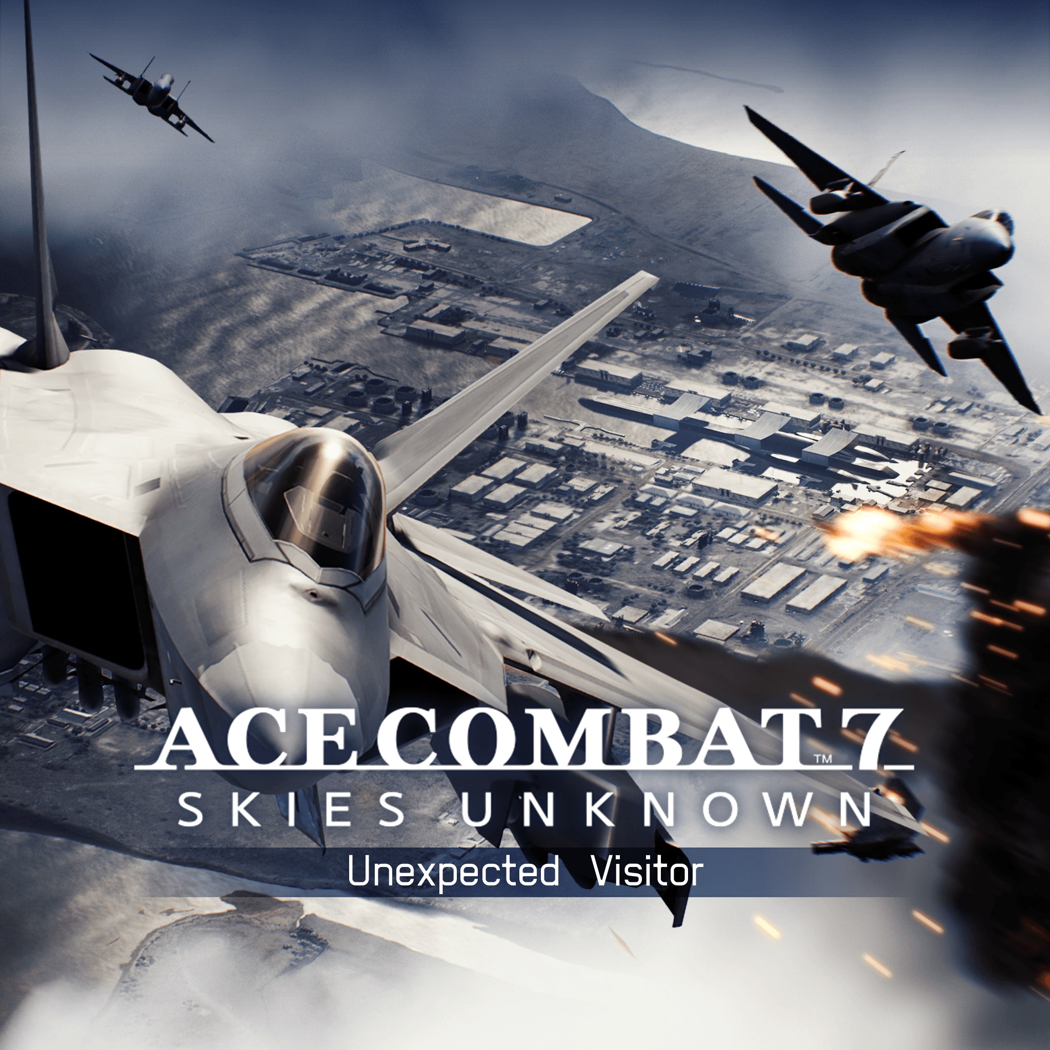 ACE COMBAT™ 7: SKIES UNKNOWN - Unexpected Visitor