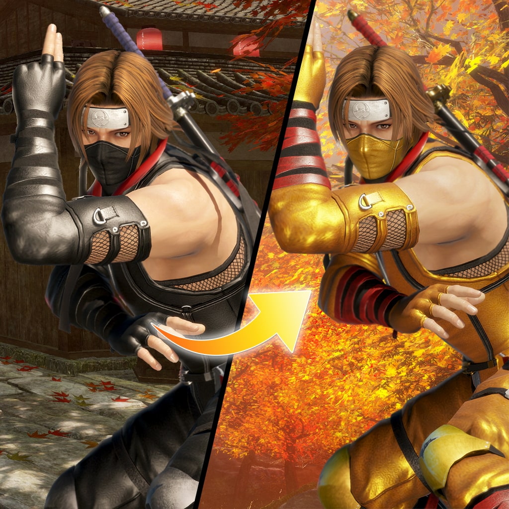DOA6 変身！NINJAコスチューム ハヤテ
