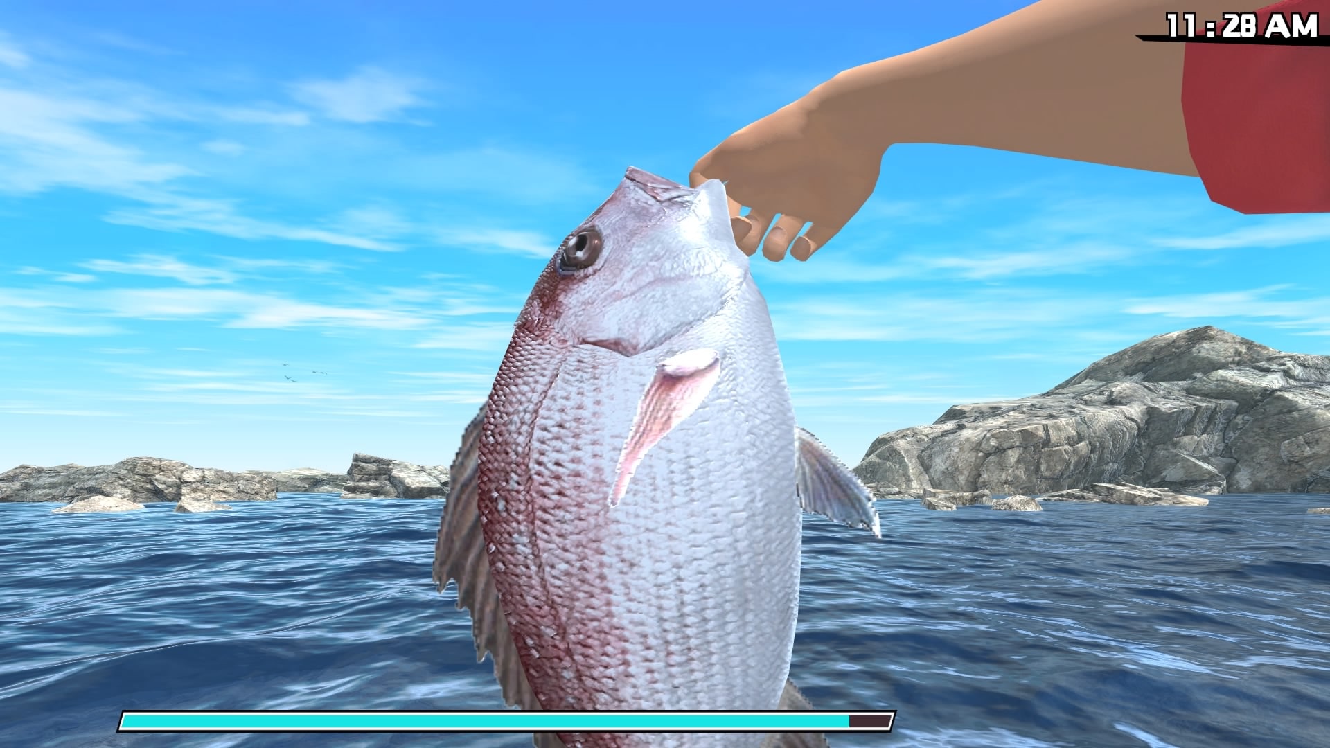 Reel Fishing: Road Trip Adventure - PlayStation 4, Natsume