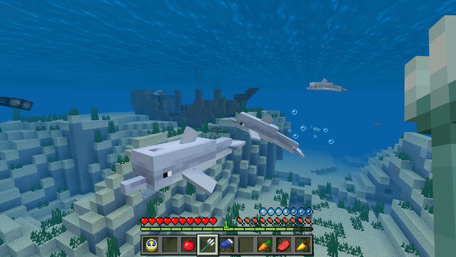 Подводная версия 1.5. Майнкрафт Акватик апдейт. Подводный мир в МАЙНКРАФТЕ. Игра майнкрафт. Подводные обитатели в МАЙНКРАФТЕ.