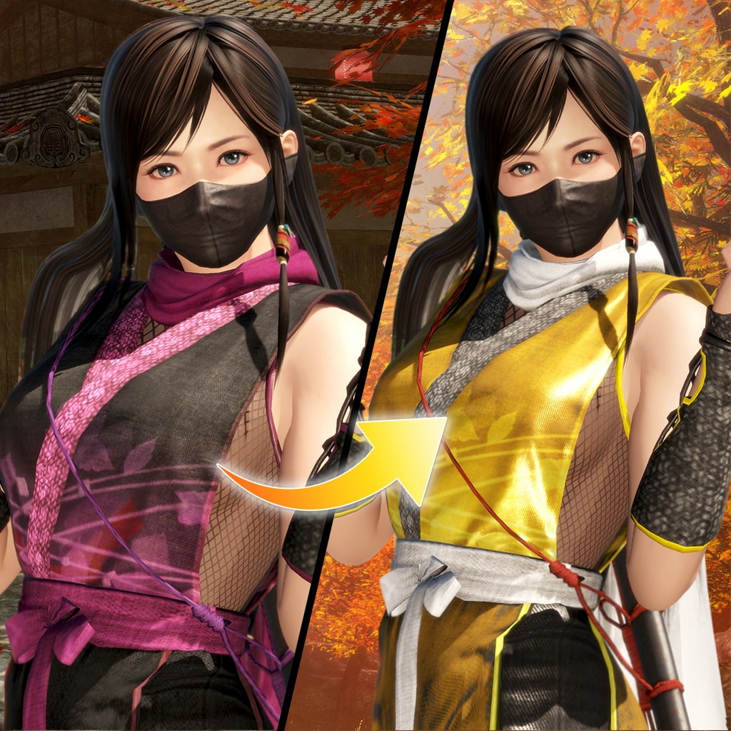DOA6 Morphing Ninja Costume - Kokoro (English/Chinese/Korean/Japanese Ver.)