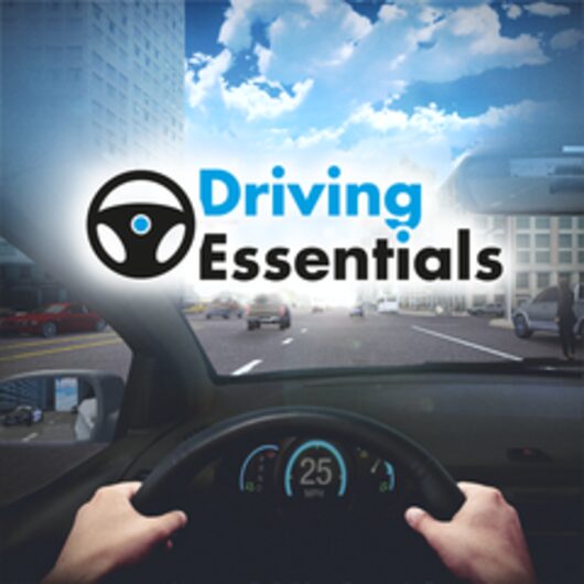 Driving Essentials for playstation Driving Essentials for playstation