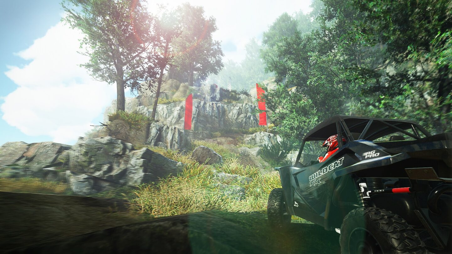 Full Size Image
